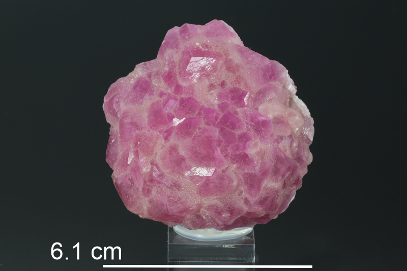 Cobaltoan Calcite